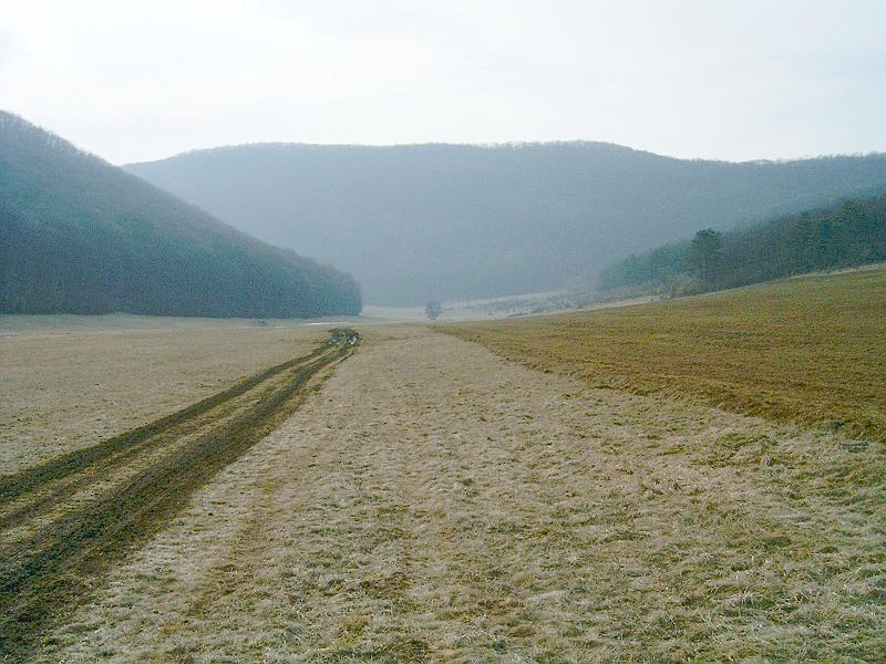 2010.03.20 086.jpg